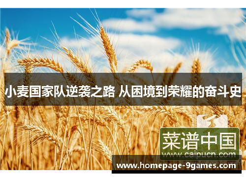 小麦国家队逆袭之路 从困境到荣耀的奋斗史